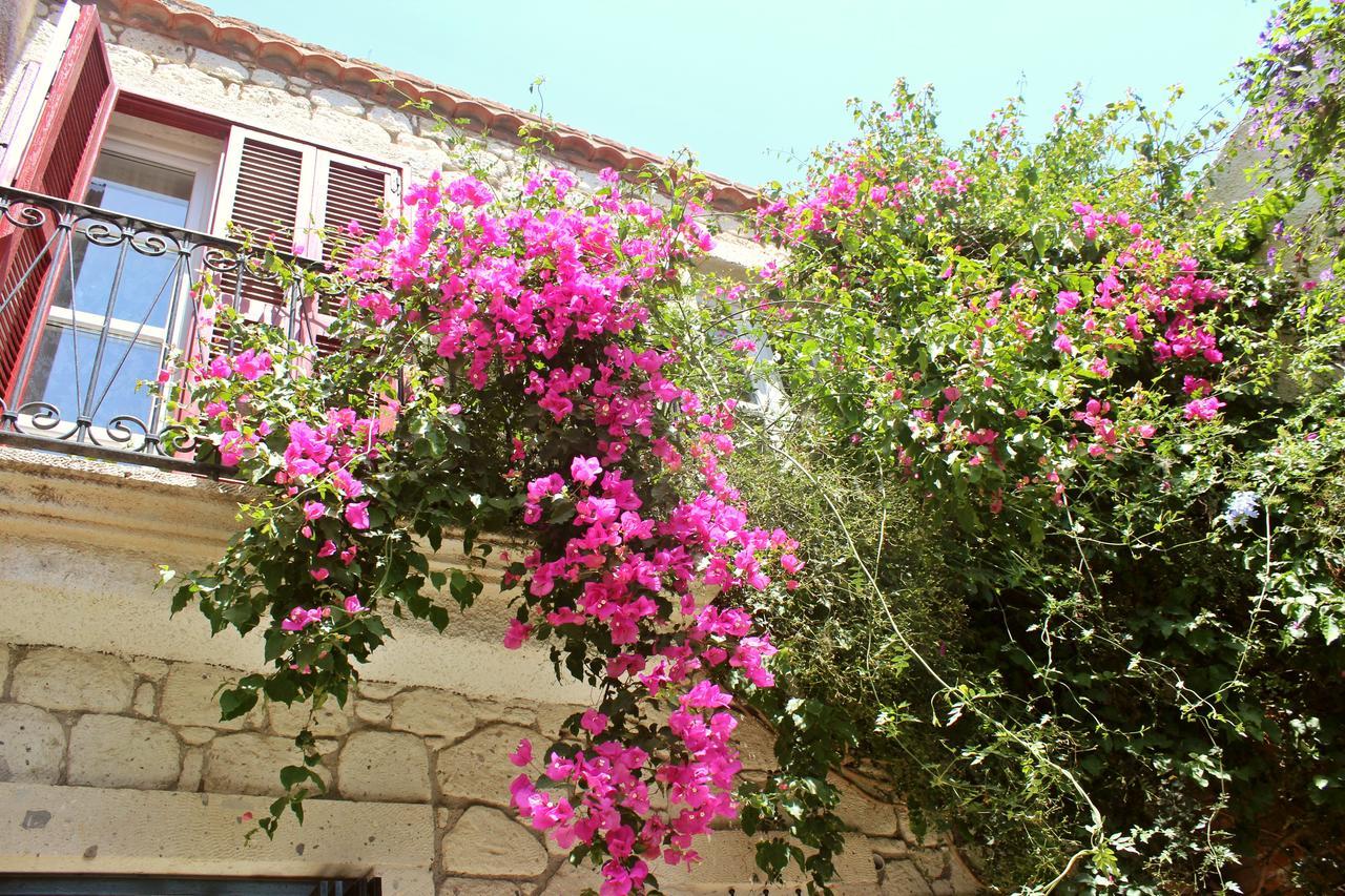 Salyangoz Bed & Breakfast Алакати Екстериор снимка